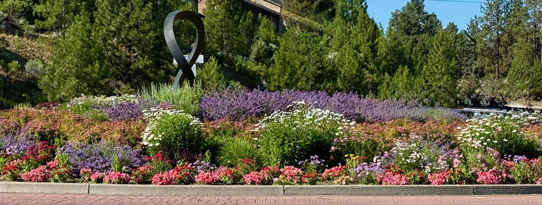 ReedMrkt roundabout