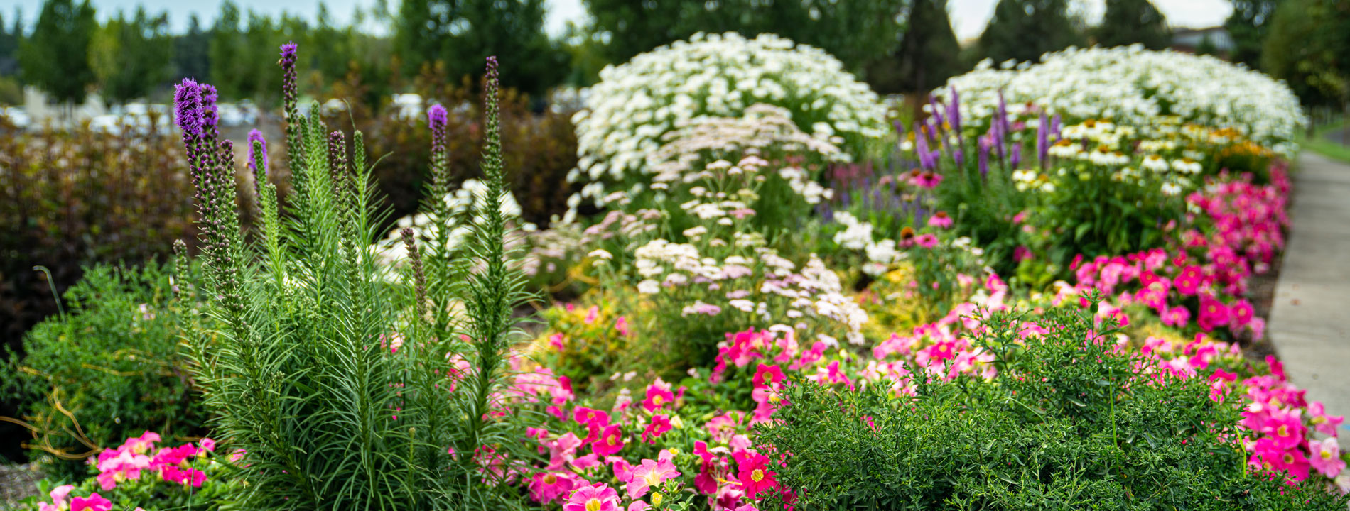 seasonal-color